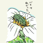 バカは私だった