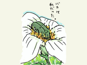 バカは私だった