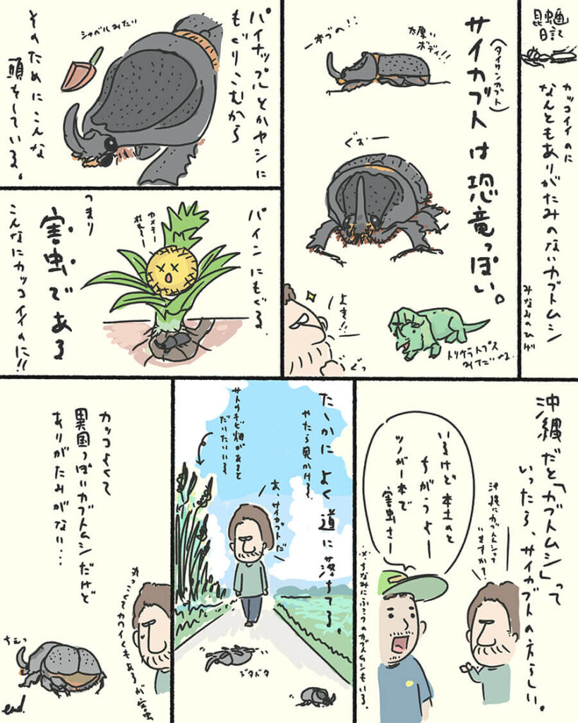 サイカブト昆虫画日記