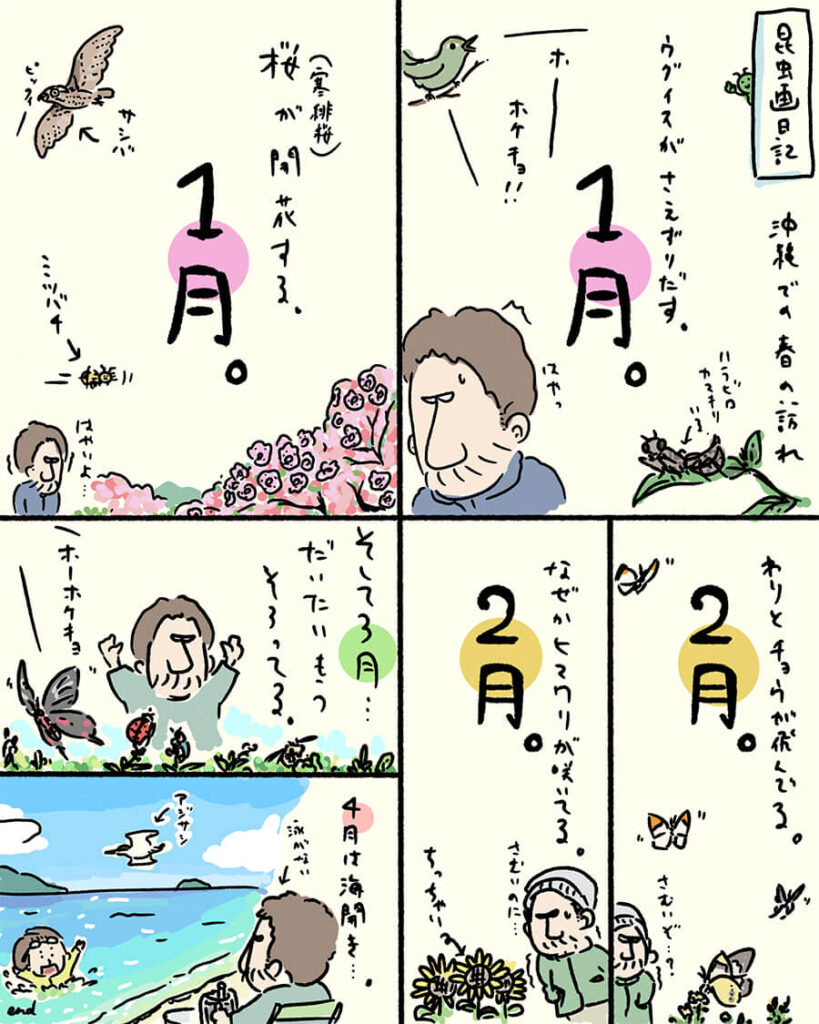 ベニモンアゲハ昆虫画日記