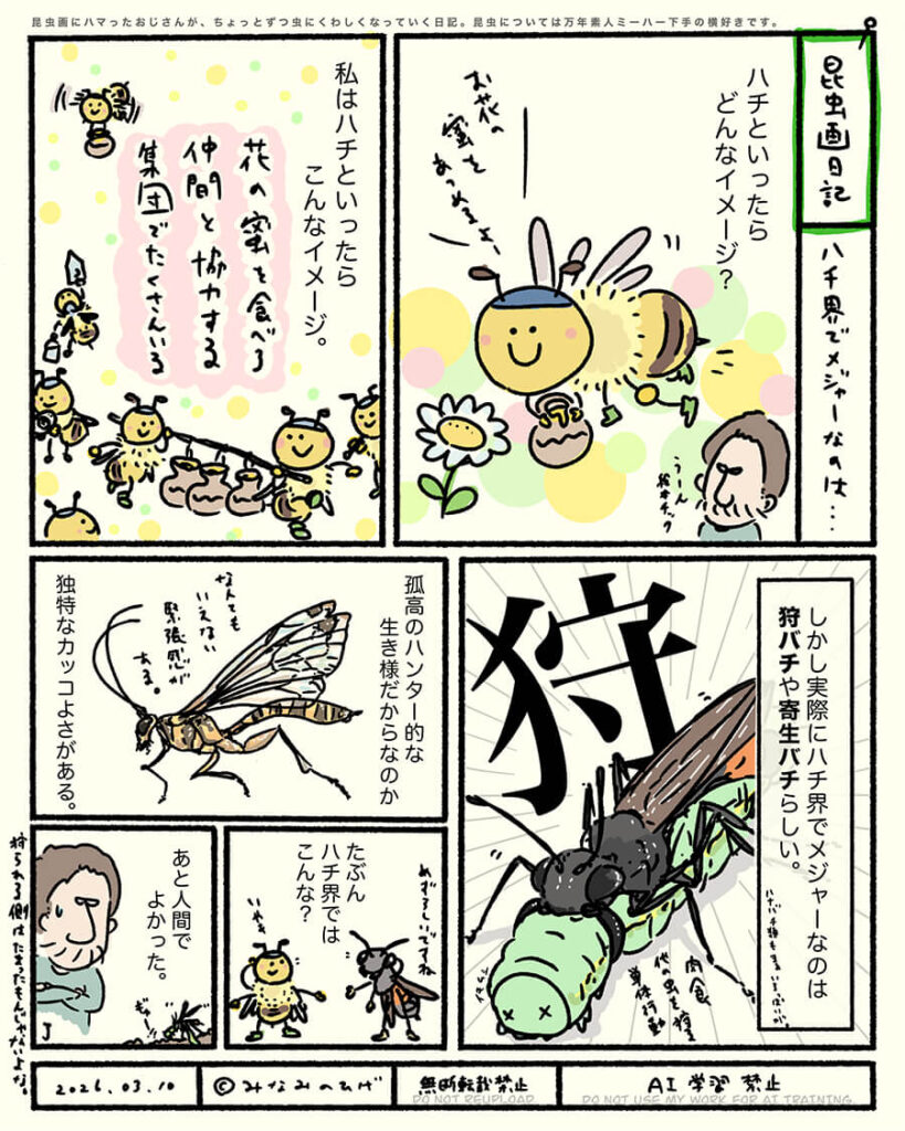 ヒメバチの仲間昆虫画日記