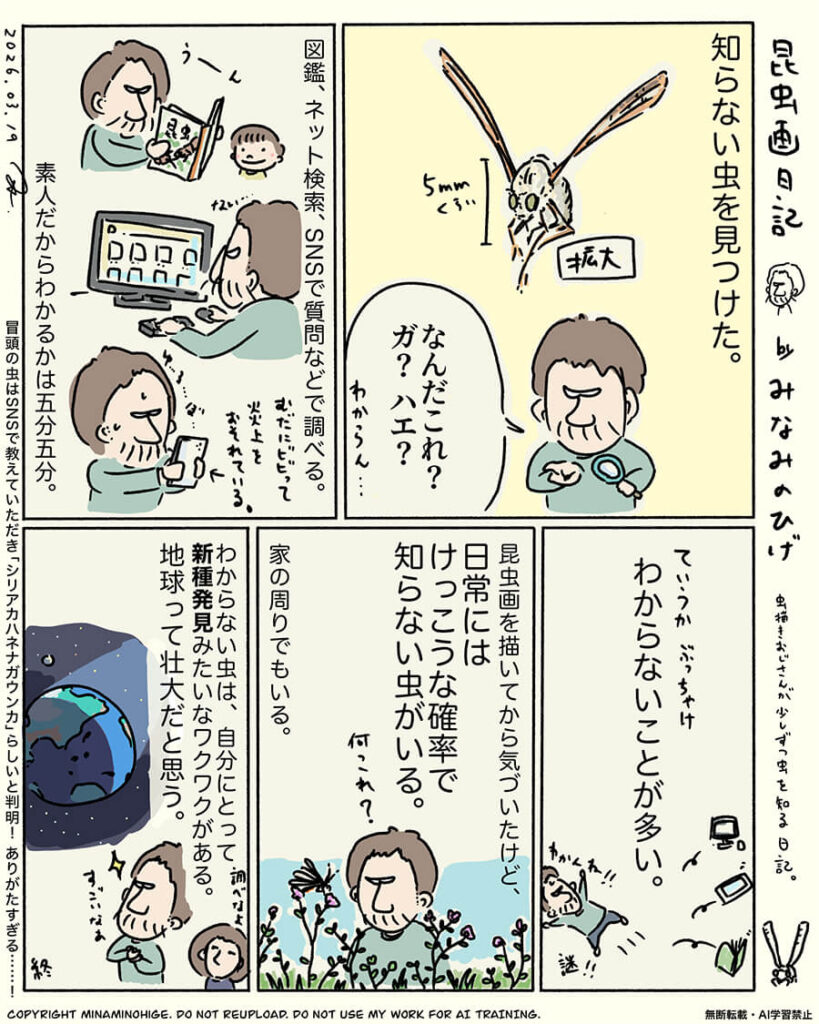 シリアカハネナガウンカ