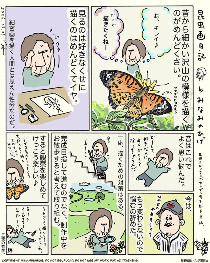 ツマグロヒョウモン昆虫画日記