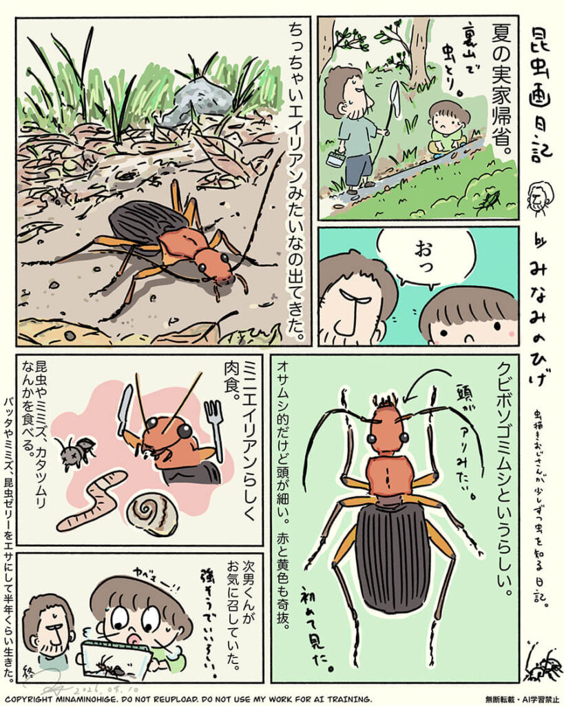 クビボソゴミムシ昆虫画日記