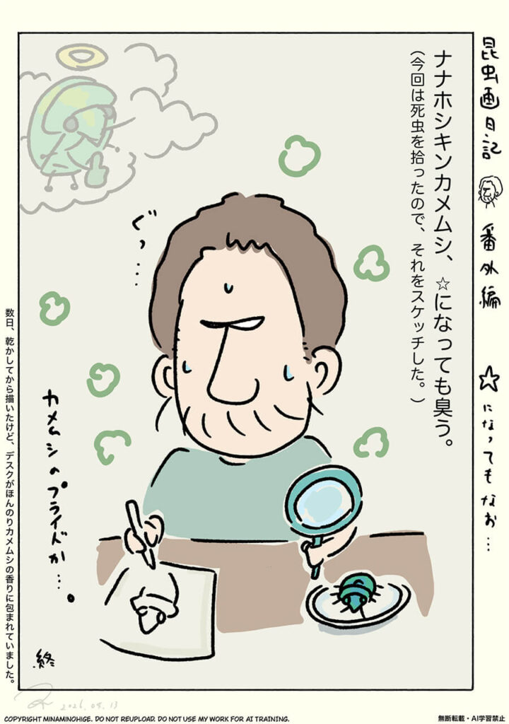 ナナホシキンカメムシは星になっても臭い