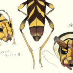 トラフカミキリ