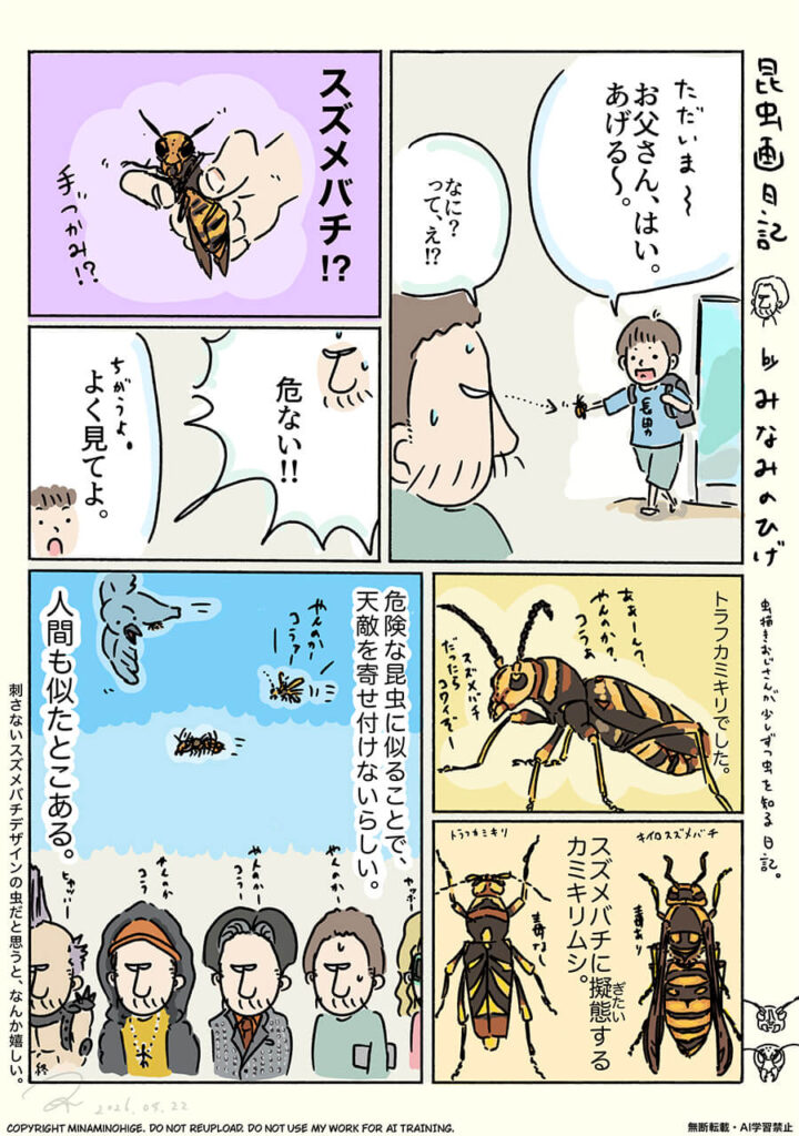 トラフカミキリ昆虫画日記