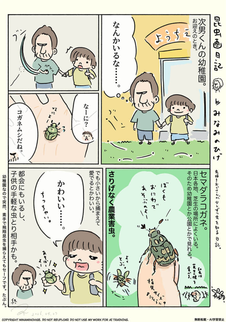 セマダラコガネ昆虫画日記