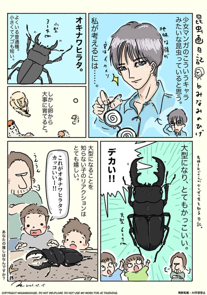 オキナワヒラタクワガタ昆虫画日記