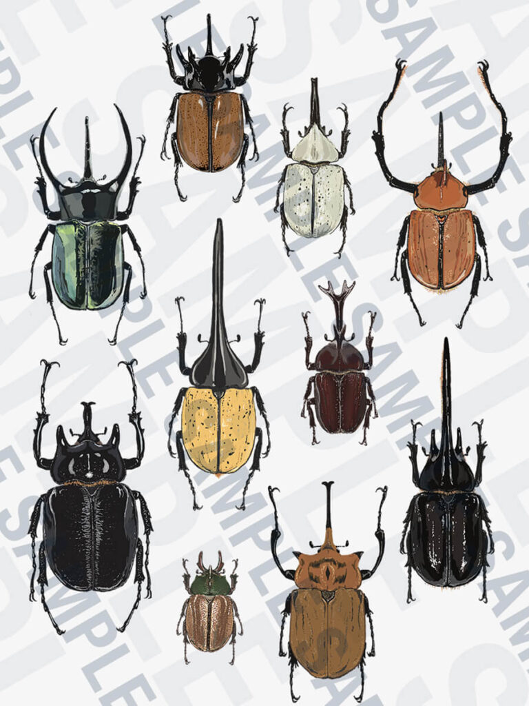 カブトムシTシャツイラストサンプル