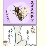 スズメバチ！じゃなくて