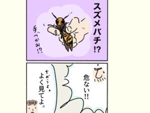 スズメバチ！じゃなくて