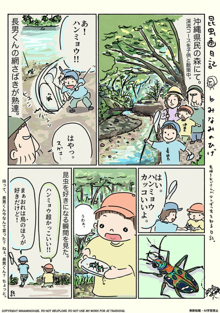 オキナワハンミョウ昆虫画日記