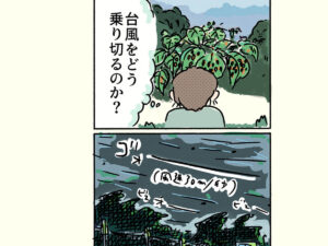 台風をどう乗り越えるのか