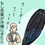 芭蕉と昆虫画日記