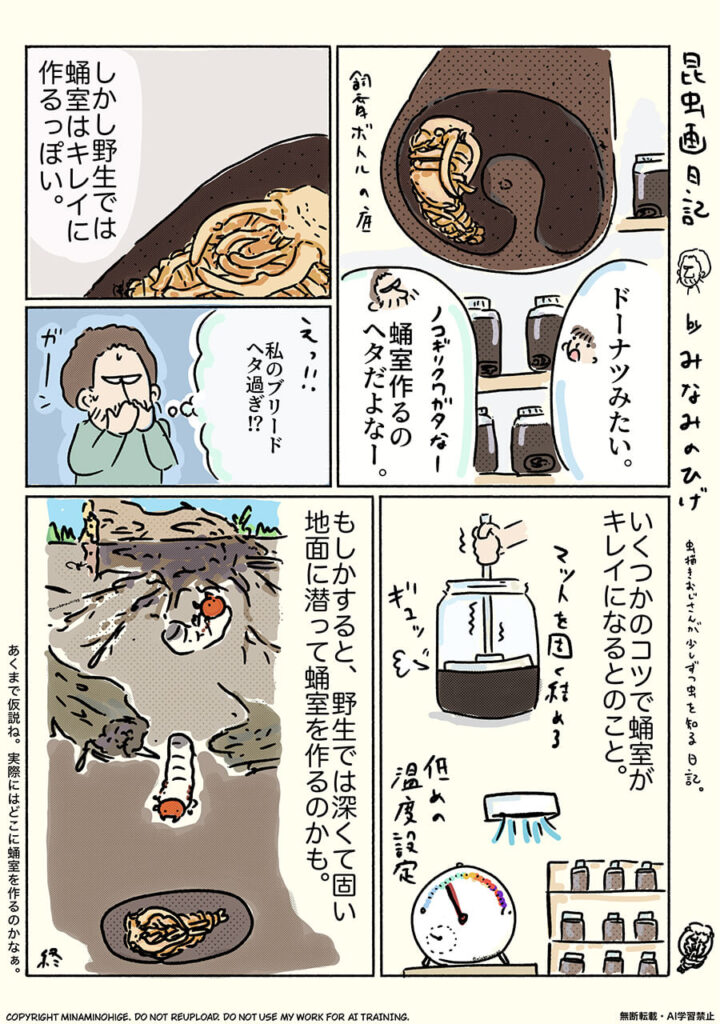ノコギリクワガタの昆虫画日記