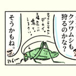 キンモウアナバチ