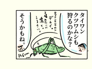 キンモウアナバチ