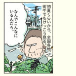 ゴマダラカミキリ