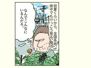 ゴマダラカミキリ