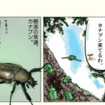 カナブンの昆虫画日記