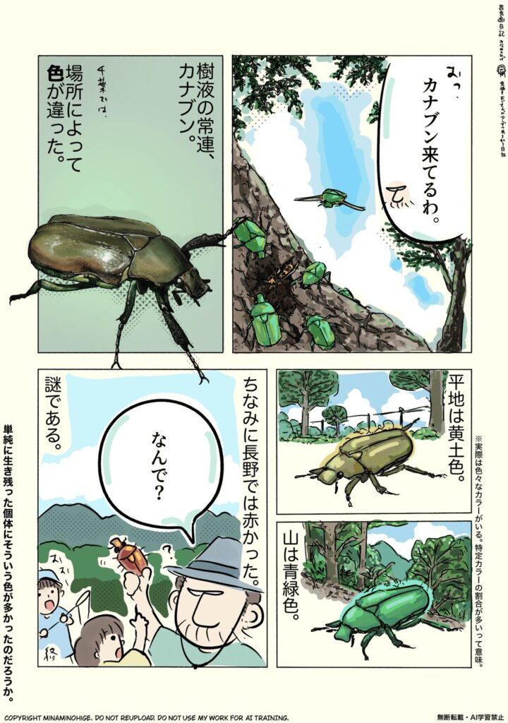 カナブンの昆虫画日記