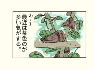 アオバハゴロモの昆虫画日記