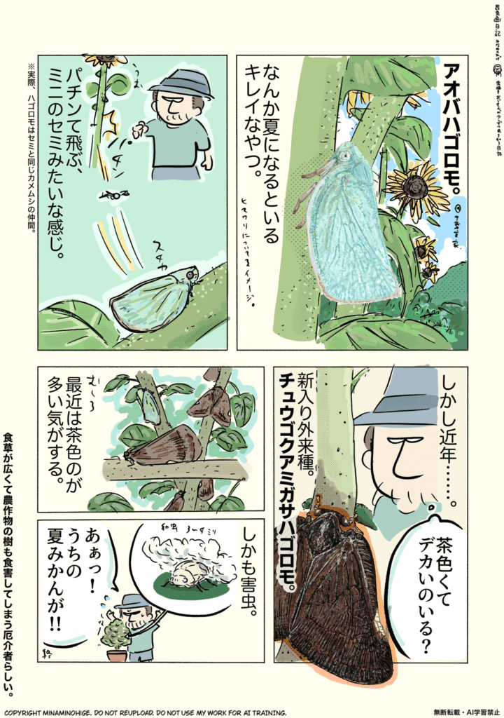 アオバハゴロモの昆虫画日記