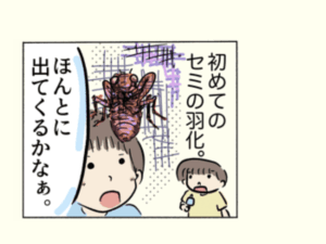 アブラゼミの羽化の昆虫画日記