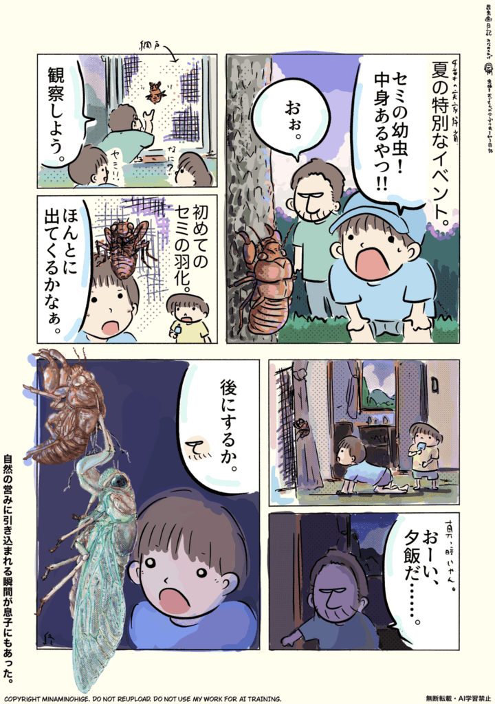 アブラゼミの羽化の昆虫画日記