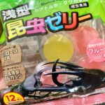 ダイソーの昆虫ゼリー