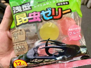 ダイソーの昆虫ゼリー
